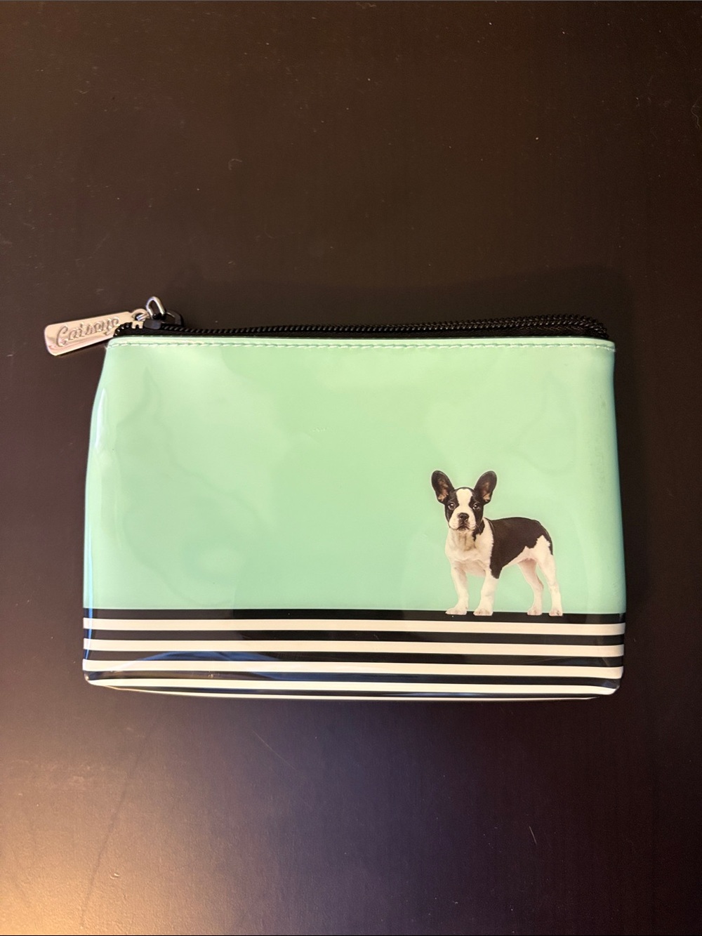 Catseye Mint Green, French BullDog Zip Cosmetic Bag